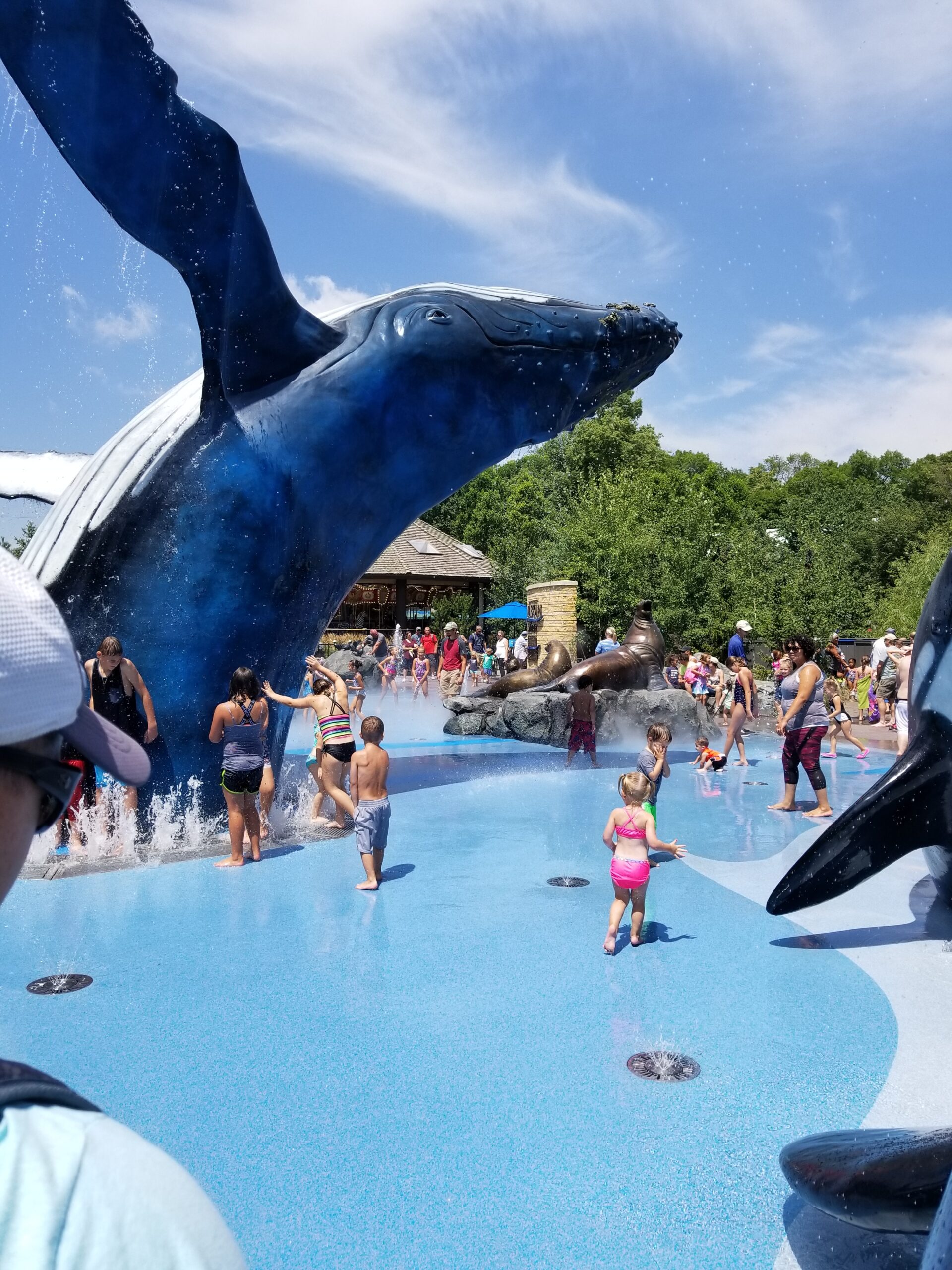 omaha zoo splash park