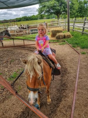 pony ride at the campground